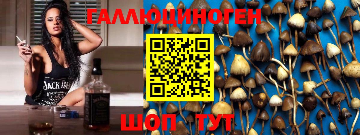 Галлюциногенные грибы GOLDEN TEACHER Орехово-Зуево