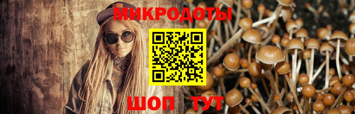 наркота  Вход с VPN  Орехово-Зуево  Псилоцибиновые грибы Psilocybe 